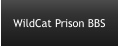 WildCat Prison BBS